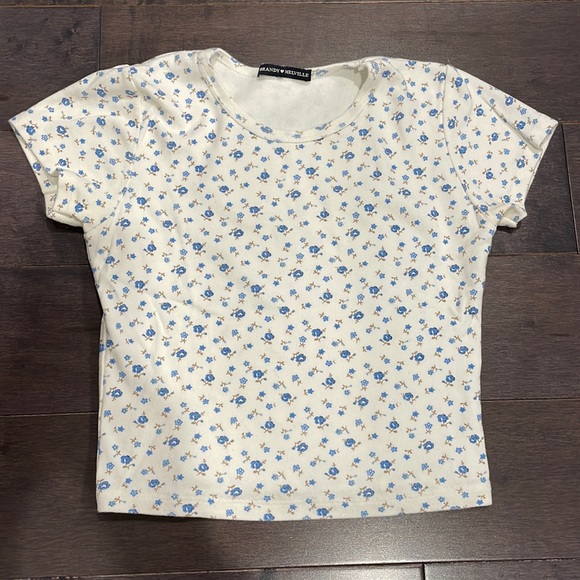 Brandy Melville Tops - Brandy Melville Blue Floral Baby Tee